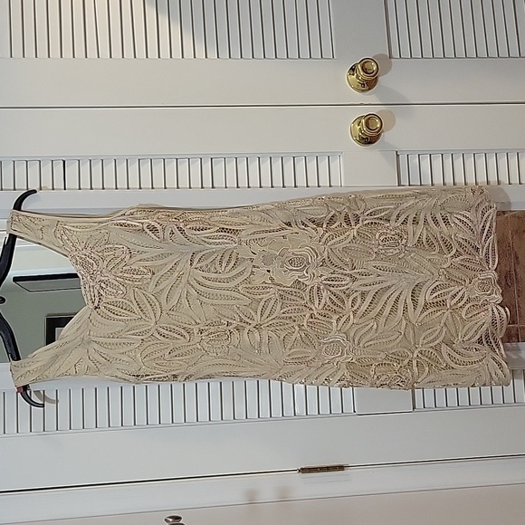 EUC In Phase Fashion Champagne Evening Dress - Picture 5 of 10